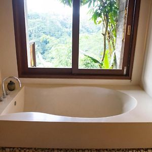 Kayon Jungle Suite